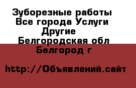 Зуборезные работы - Все города Услуги » Другие   . Белгородская обл.,Белгород г.